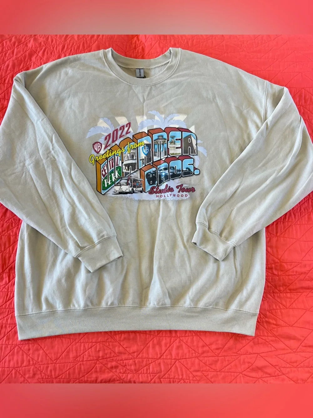 Gildan Light Sage Crewneck Sweatshirt with Colorful Warner Bros. Graphic